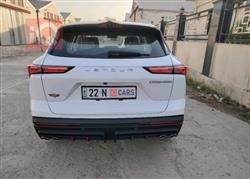 جيتور داشينج